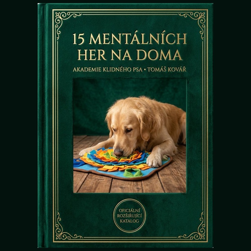 15 Mentálních Her